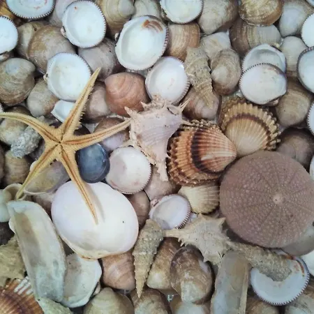 Maxim With Private Pool Villa *