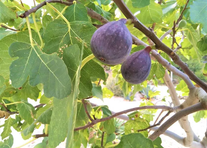 Maxim With Private Pool Вилла