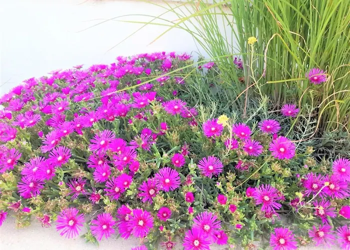 Вилла Maxim With Private Pool Рованьска